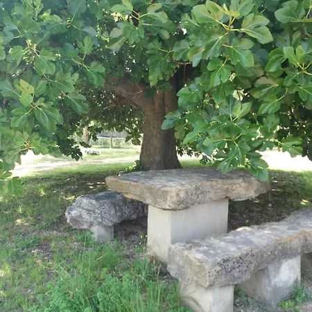 Farm stay En Pleno Paraje Natural La Chirala *
